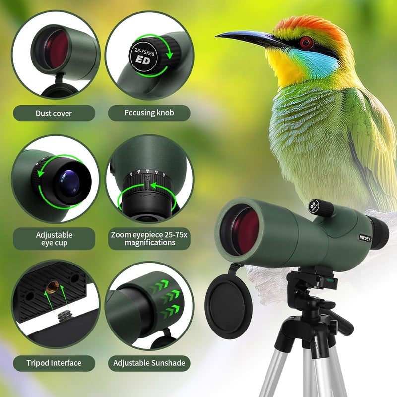 NWDEY 25-75X60 Spotting Scope with 51in Tripod, Spotting Scope for Target Shooting, Hunting & Bird Watching, Low Light Vision, Phone Adapter, Carry Bag, BAK4 Prism, FMC Lens, Waterproof (ArmyGreen) - Image 3